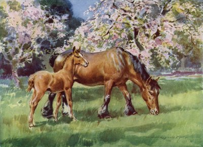 Ilustracja do My Farm (litografia kolorowa) autorstwa Reginald Mills