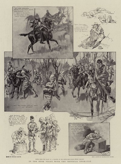 W Bush Veldt z Imperial Yeomanry (litografia) autorstwa Reginald Thomas Cleaver