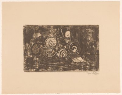 Siedem muszli autorstwa Reijer Stolk (signed by artist)