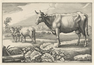 Pastwisko z krowami Diversa Animalia Quadrupedia (tytuł serii) autorstwa Reinier van Persijn