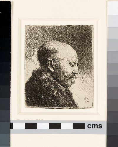 Łysy mężczyzna z profilu po prawej: ojciec Rembrandta? autorstwa Rembrandt van Rijn