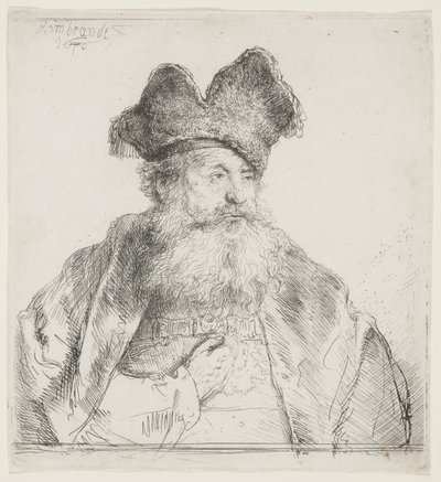 Starzec w czapce z podzielonym futrem autorstwa Rembrandt van Rijn