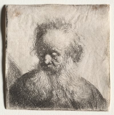 Starszy mężczyzna z brodą: Biust autorstwa Rembrandt Harmensz. van Rijn