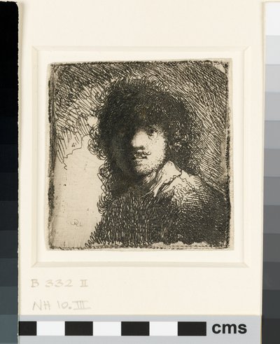 Autoportret z odkrytą głową: popiersie, ok. 1629 (akwaforta) autorstwa Rembrandt van Rijn