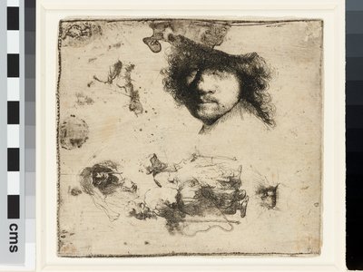 Arkusz studiów autorstwa Rembrandt van Rijn