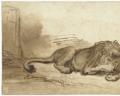 Leżący lew z przednią łapą nad pyskiem autorstwa Rembrandt van Rijn (school of)
