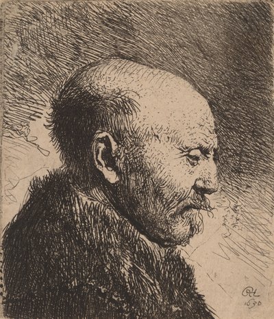 Łysy mężczyzna z profilu Ojciec artysty, 1630. autorstwa Rembrandt van Rijn