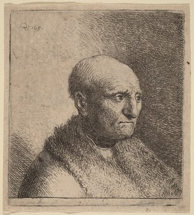 Łysy mężczyzna w futrzanym płaszczu autorstwa Rembrandt van Rijn