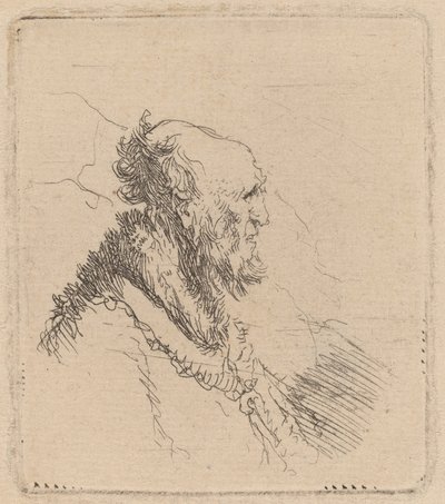 Łysy starzec z krótką brodą w profilu autorstwa Rembrandt van Rijn