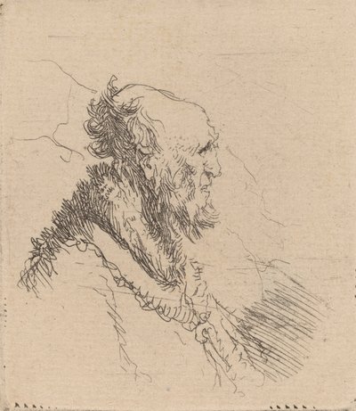Łysy starzec z krótką brodą z profilu, ok. 1930 r. 1635. autorstwa Rembrandt van Rijn