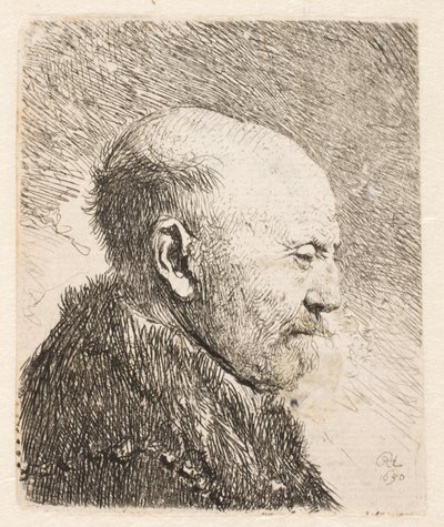 Łysy mężczyzna z profilu (ojciec Rembrandta?) autorstwa Rembrandt van Rijn