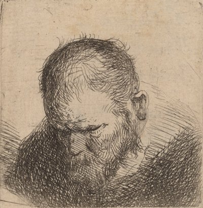 Brodaty mężczyzna patrzący w dół, prawdopodobnie 1631. autorstwa Rembrandt van Rijn