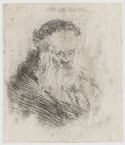 Brodaty starzec z wysokim czołem autorstwa Rembrandt van Rijn