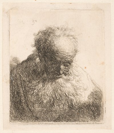 Popiersie starego mężczyzny z falującą brodą: głowa pochylona do przodu: lewe ramię nieocienione autorstwa Rembrandt van Rijn