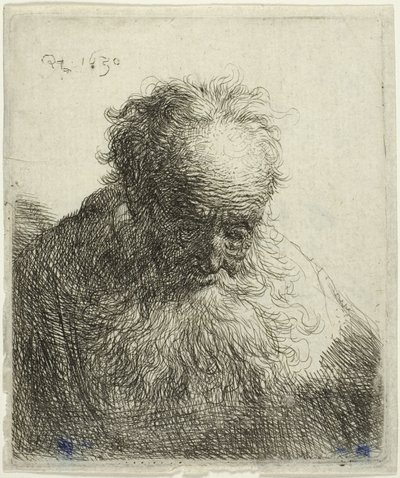 Popiersie starszego mężczyzny z bujną brodą: Głowa pochylona do przodu: Lewe ramię niezacienione autorstwa Rembrandt van Rijn
