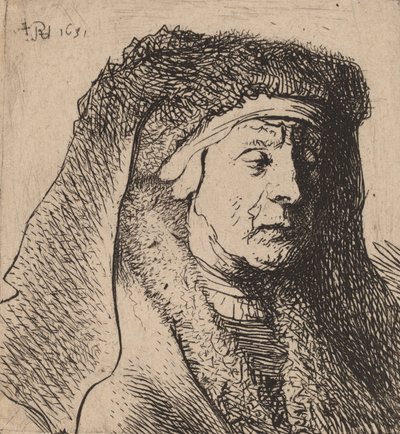 Popiersie staruszki w futrzanym płaszczu i ciężkim nakryciu głowy, 1631. autorstwa Rembrandt van Rijn