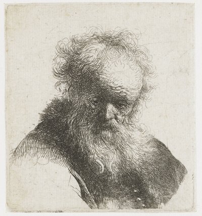 Popiersie starca z rozwianą brodą i białym rękawem autorstwa Rembrandt van Rijn