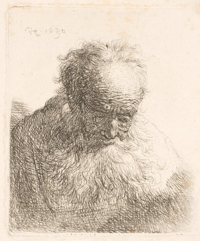 Popiersie starszego mężczyzny z długą brodą: głowa pochylona do przodu; lewe ramię nieocieniowane autorstwa Rembrandt van Rijn