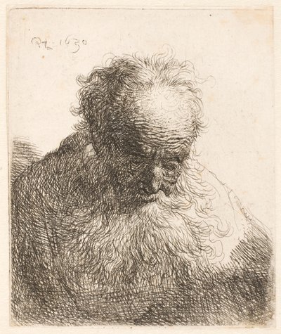 Popiersie starszego mężczyzny z długą brodą: głowa pochylona do przodu; lewe ramię nie jest zacienione autorstwa Rembrandt van Rijn