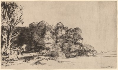 Kępka drzew z Vista autorstwa Rembrandt van Rijn