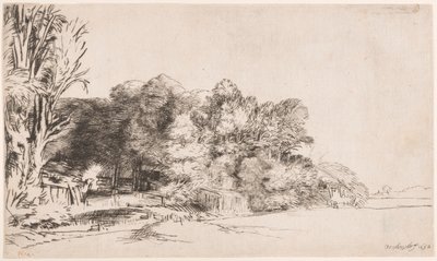 Kępka drzew z Vista autorstwa Rembrandt van Rijn