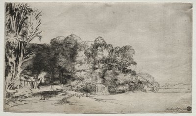 Kępka drzew z Vista autorstwa Rembrandt van Rijn