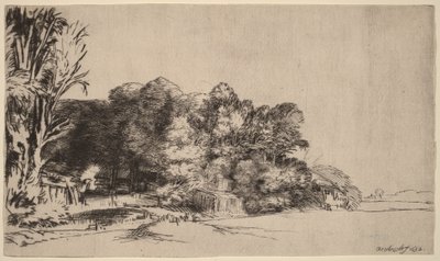 Grupa drzew z widokiem autorstwa Rembrandt van Rijn