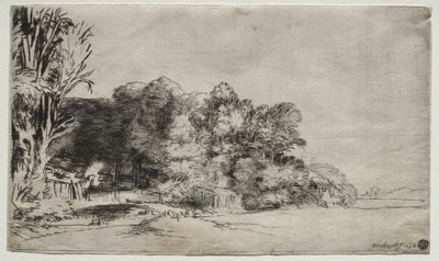 Kępka drzew z Vista, 1652. autorstwa Rembrandt van Rijn