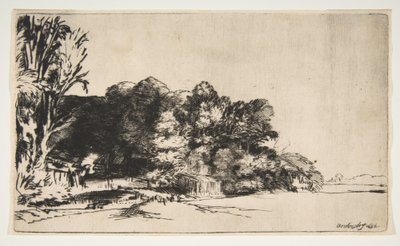 Kępka drzew z Vista, 1652. autorstwa Rembrandt van Rijn