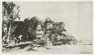 Kępka drzew z widokiem autorstwa Rembrandt van Rijn