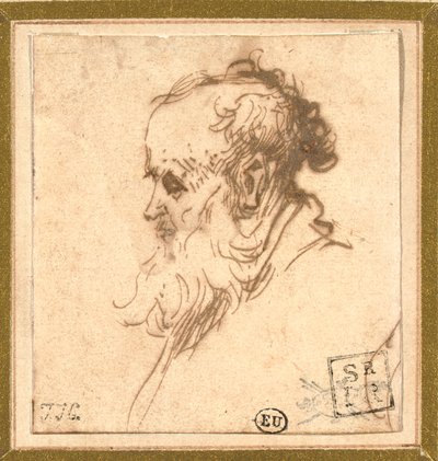 Głowa brodatego mężczyzny z profilu po lewej stronie autorstwa Rembrandt van Rijn