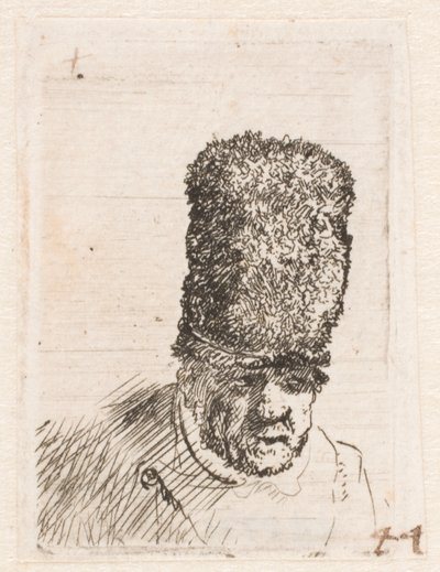 Głowa starego mężczyzny w wysokiej futrzanej czapce autorstwa Rembrandt van Rijn