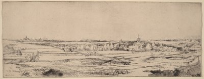 Pejzaż z widokiem na Haarlem (Pole wagi złota) autorstwa Rembrandt van Rijn