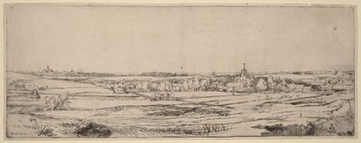 Pejzaż z widokiem na Haarlem (Pole wagi złota) autorstwa Rembrandt van Rijn