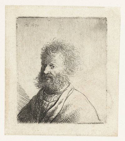Mężczyzna z kwadratową brodą i kręconymi włosami: popiersie autorstwa Rembrandt van Rijn