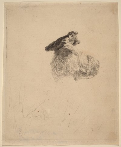 Starszy mężczyzna zasłaniający dłonią oczy autorstwa Rembrandt van Rijn