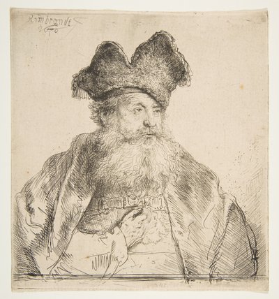 Stary człowiek w czapce z podzielonym futrem. autorstwa Rembrandt van Rijn