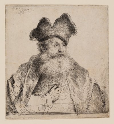 Starzec w czapce z podzielonym futrem autorstwa Rembrandt van Rijn