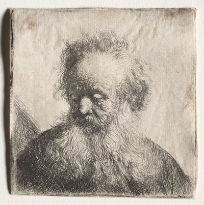 Stary człowiek z rozwianą brodą: biust autorstwa Rembrandt van Rijn