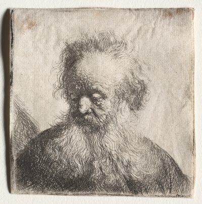 Stary człowiek z rozwianą brodą: Biust, 1631. autorstwa Rembrandt van Rijn