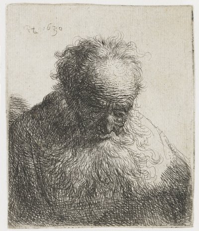 Starzec z rozwianą brodą, lewe ramię niezacienione Popiersie starca z rozwianą brodą: głowa pochylona do przodu: lewe ramię niezacienione autorstwa Rembrandt van Rijn