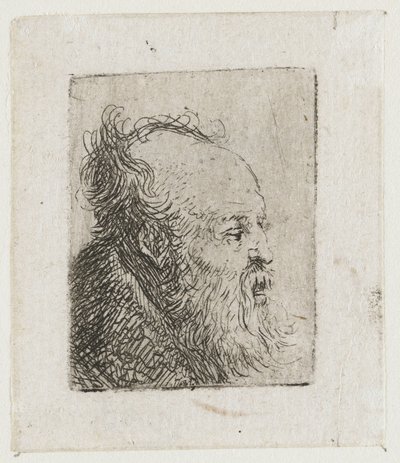 Stary, brodaty mężczyzna z lekko otwartymi ustami autorstwa Rembrandt van Rijn