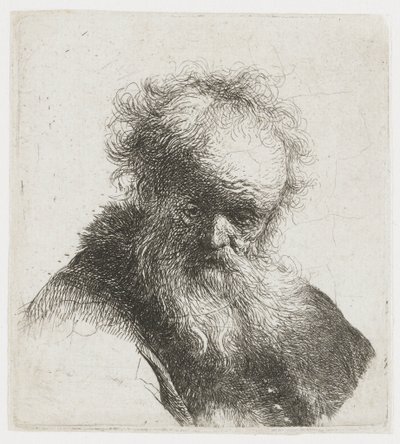 Starszy mężczyzna z długą brodą i białym rękawem autorstwa Rembrandt van Rijn