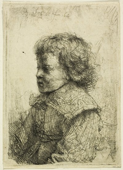 Portret chłopca autorstwa Rembrandt van Rijn