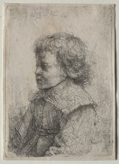 Portret chłopca w profilu autorstwa Rembrandt van Rijn