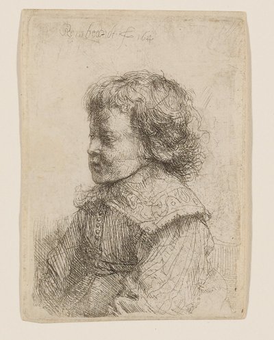 Portret chłopca z profilu autorstwa Rembrandt van Rijn