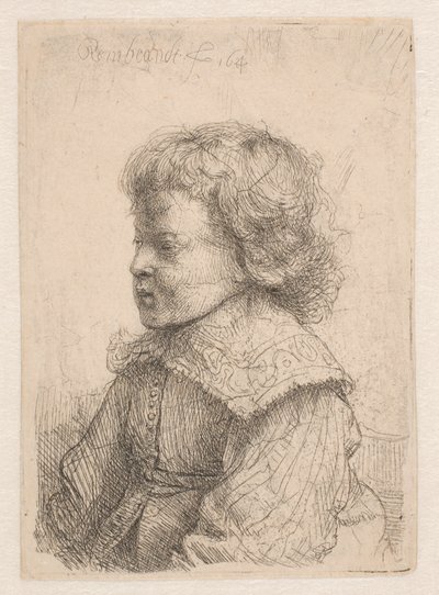 Portret chłopca, w profilu autorstwa Rembrandt van Rijn