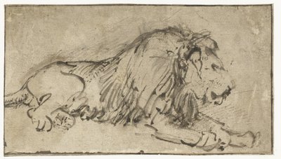 Leżący lew autorstwa Rembrandt van Rijn