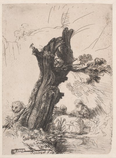 Św. Hieronim obok wierzby przyciętej na pniak autorstwa Rembrandt van Rijn