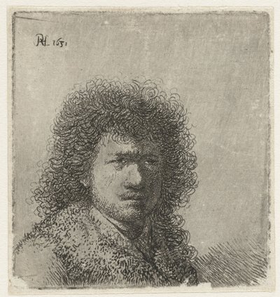 Autoportret z krzaczastymi włosami: biust autorstwa Rembrandt van Rijn